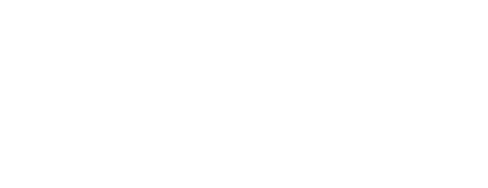Star Name Registry logo